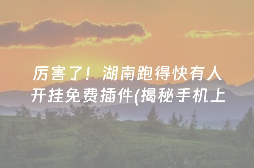 厉害了！湖南跑得快有人开挂免费插件(揭秘手机上怎么容易赢)