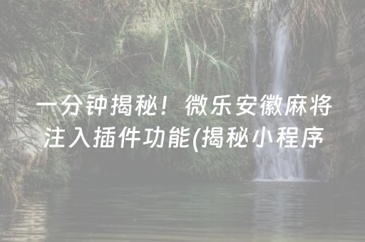 一分钟揭秘！微乐安徽麻将注入插件功能(揭秘小程序提高胜率)