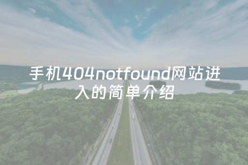 手机404notfound网站进入的简单介绍
