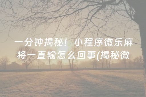 一分钟揭秘！小程序微乐麻将一直输怎么回事(揭秘微信里助手软件)