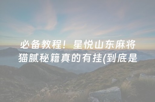 必备教程！星悦山东麻将猫腻秘籍真的有挂(到底是不是有挂)
