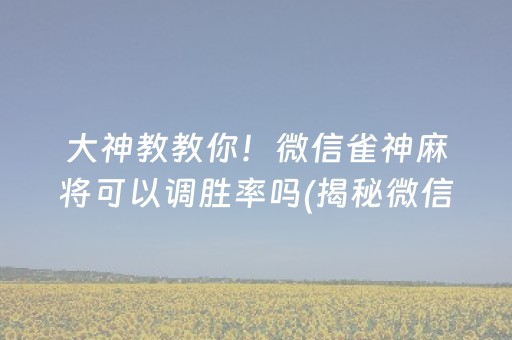 大神教教你！微信雀神麻将可以调胜率吗(揭秘微信里专用神器)
