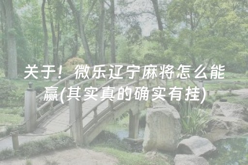 关于！微乐辽宁麻将怎么能赢(其实真的确实有挂)