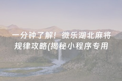 一分钟了解！微乐湖北麻将规律攻略(揭秘小程序专用神器)