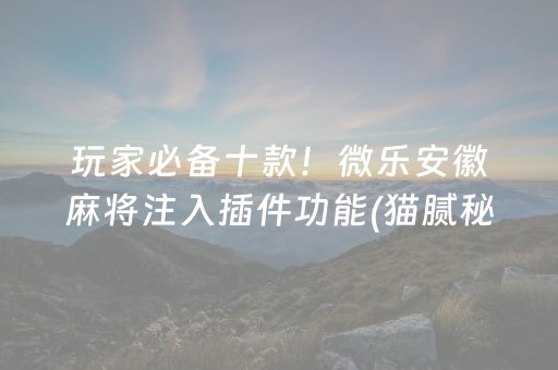 玩家必备十款！微乐安徽麻将注入插件功能(猫腻秘籍真的有挂)