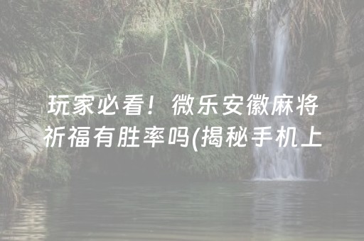 玩家必看！微乐安徽麻将祈福有胜率吗(揭秘手机上提高胜率)