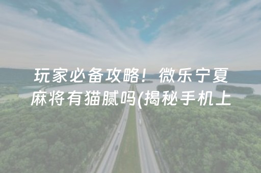 玩家必备攻略！微乐宁夏麻将有猫腻吗(揭秘手机上必备神器)