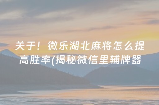 关于！微乐湖北麻将怎么提高胜率(揭秘微信里辅牌器)