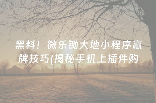 黑料！微乐锄大地小程序赢牌技巧(揭秘手机上插件购买)