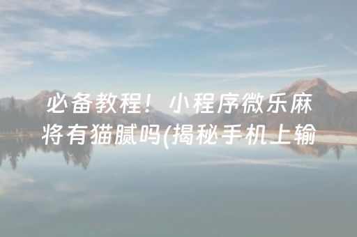 必备教程！小程序微乐麻将有猫腻吗(揭秘手机上输赢规律)