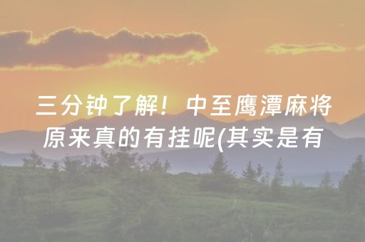三分钟了解！中至鹰潭麻将原来真的有挂呢(其实是有挂确实有挂)
