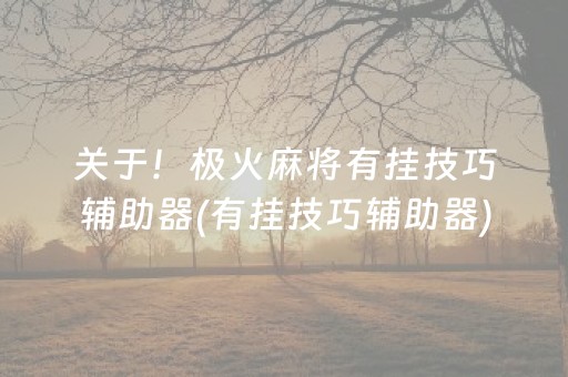 关于！极火麻将有挂技巧辅助器(有挂技巧辅助器)