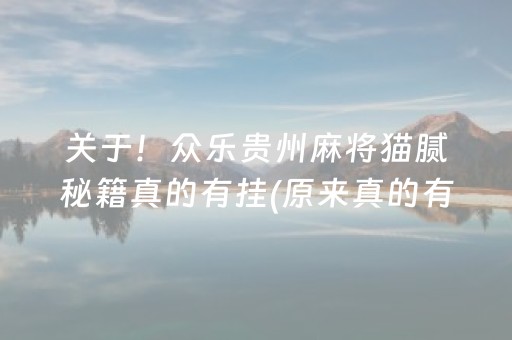 关于！众乐贵州麻将猫腻秘籍真的有挂(原来真的有挂)
