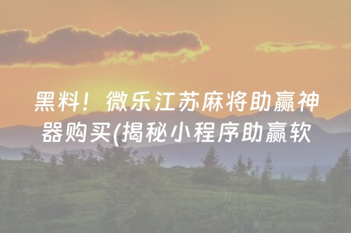 黑料！微乐江苏麻将助赢神器购买(揭秘小程序助赢软件)