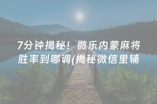7分钟揭秘！微乐内蒙麻将胜率到哪调(揭秘微信里辅牌器)