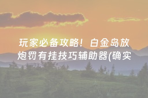 玩家必备攻略！白金岛放炮罚有挂技巧辅助器(确实有挂吗)