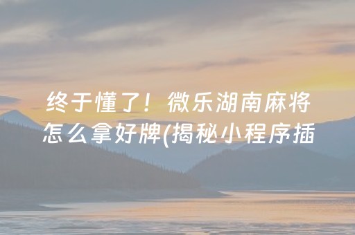 终于懂了！微乐湖南麻将怎么拿好牌(揭秘小程序插件购买)