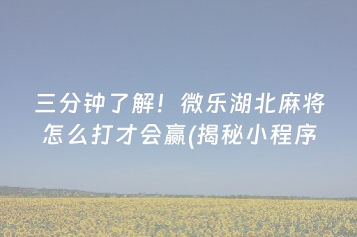 三分钟了解！微乐湖北麻将怎么打才会赢(揭秘小程序输赢技巧)