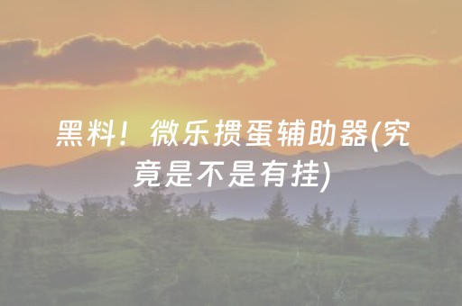 黑料！微乐掼蛋辅助器(究竟是不是有挂)