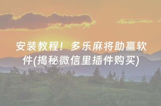安装教程！多乐麻将助赢软件(揭秘微信里插件购买)