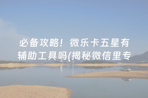 必备攻略！微乐卡五星有辅助工具吗(揭秘微信里专用神器下载)