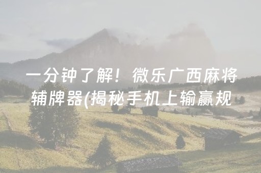 一分钟了解！微乐广西麻将辅牌器(揭秘手机上输赢规律)