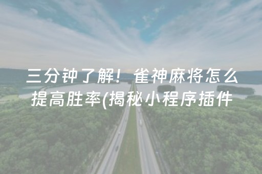 三分钟了解！雀神麻将怎么提高胜率(揭秘小程序插件免费)
