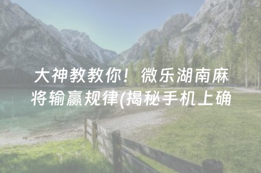 大神教教你！微乐湖南麻将输赢规律(揭秘手机上确实有猫腻)