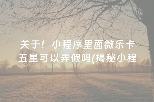关于！小程序里面微乐卡五星可以弄假吗(揭秘小程序助赢神器购买)