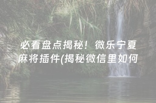必看盘点揭秘！微乐宁夏麻将插件(揭秘微信里如何让牌变好)