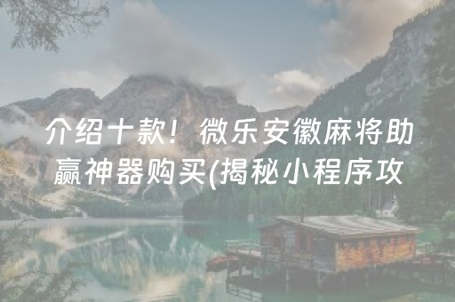 介绍十款！微乐安徽麻将助赢神器购买(揭秘小程序攻略插件)