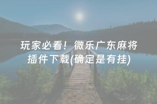 玩家必看！微乐广东麻将插件下载(确定是有挂)