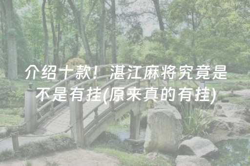介绍十款！湛江麻将究竟是不是有挂(原来真的有挂)