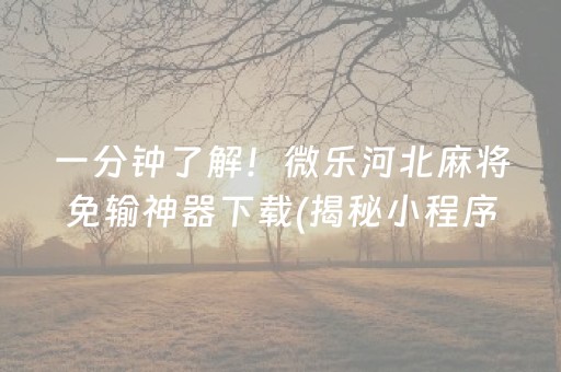 一分钟了解！微乐河北麻将免输神器下载(揭秘小程序攻略插件)