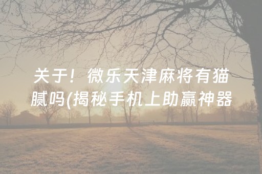 关于！微乐天津麻将有猫腻吗(揭秘手机上助赢神器购买)