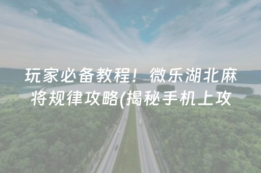玩家必备教程！微乐湖北麻将规律攻略(揭秘手机上攻略插件)