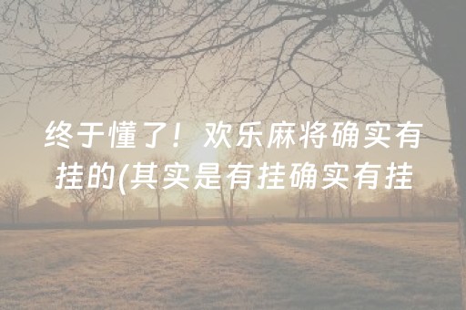 终于懂了！欢乐麻将确实有挂的(其实是有挂确实有挂)