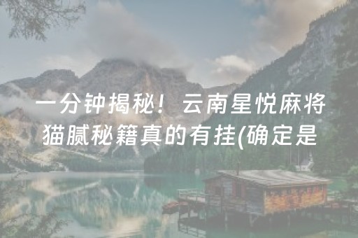 一分钟揭秘！云南星悦麻将猫腻秘籍真的有挂(确定是有挂)