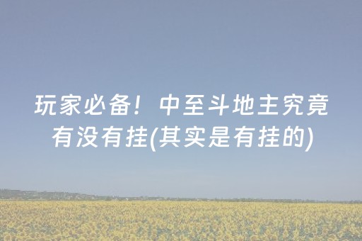 玩家必备！中至斗地主究竟有没有挂(其实是有挂的)