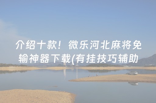 介绍十款！微乐河北麻将免输神器下载(有挂技巧辅助器)