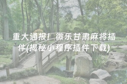 重大通报！微乐甘肃麻将插件(揭秘小程序插件下载)