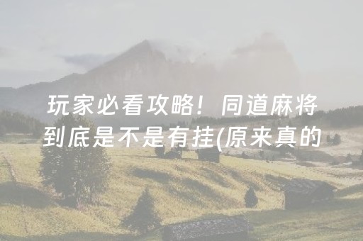玩家必看攻略！同道麻将到底是不是有挂(原来真的有挂)