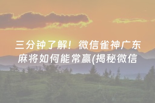 三分钟了解！微信雀神广东麻将如何能常赢(揭秘微信里自建房怎么赢)