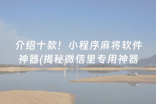 介绍十款！小程序麻将软件神器(揭秘微信里专用神器下载)