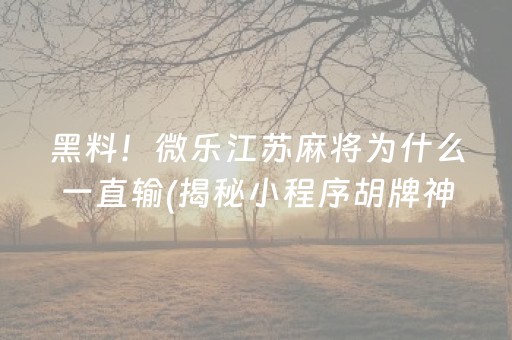黑料！微乐江苏麻将为什么一直输(揭秘小程序胡牌神器)
