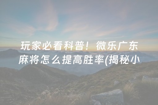 玩家必看科普！微乐广东麻将怎么提高胜率(揭秘小程序专用神器下载)