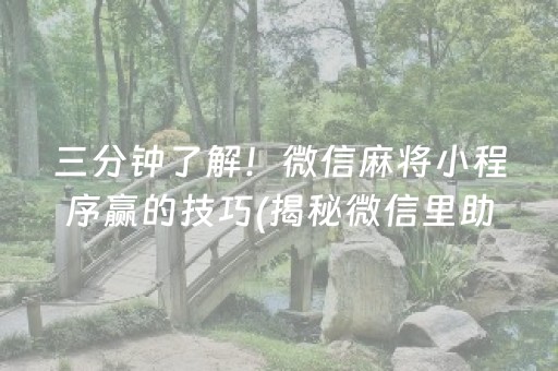三分钟了解！微信麻将小程序赢的技巧(揭秘微信里助手软件)