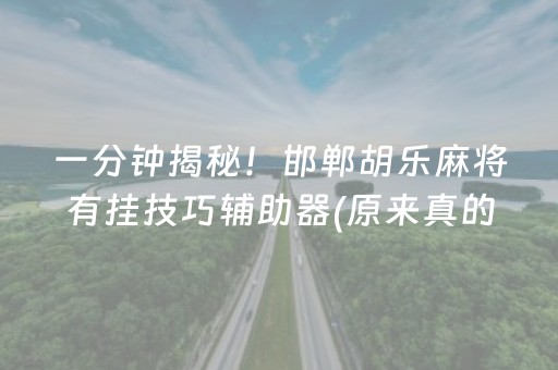 一分钟揭秘！邯郸胡乐麻将有挂技巧辅助器(原来真的有挂)