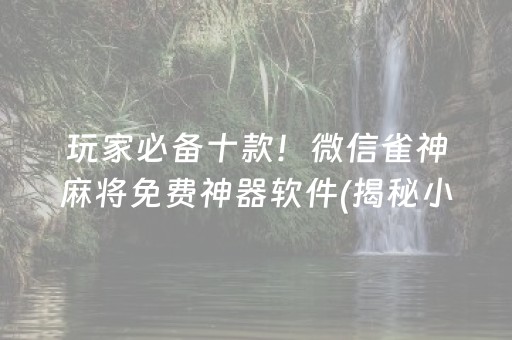 玩家必备十款！微信雀神麻将免费神器软件(揭秘小程序专用神器下载)