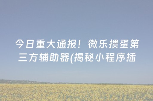 今日重大通报！微乐掼蛋第三方辅助器(揭秘小程序插件购买)